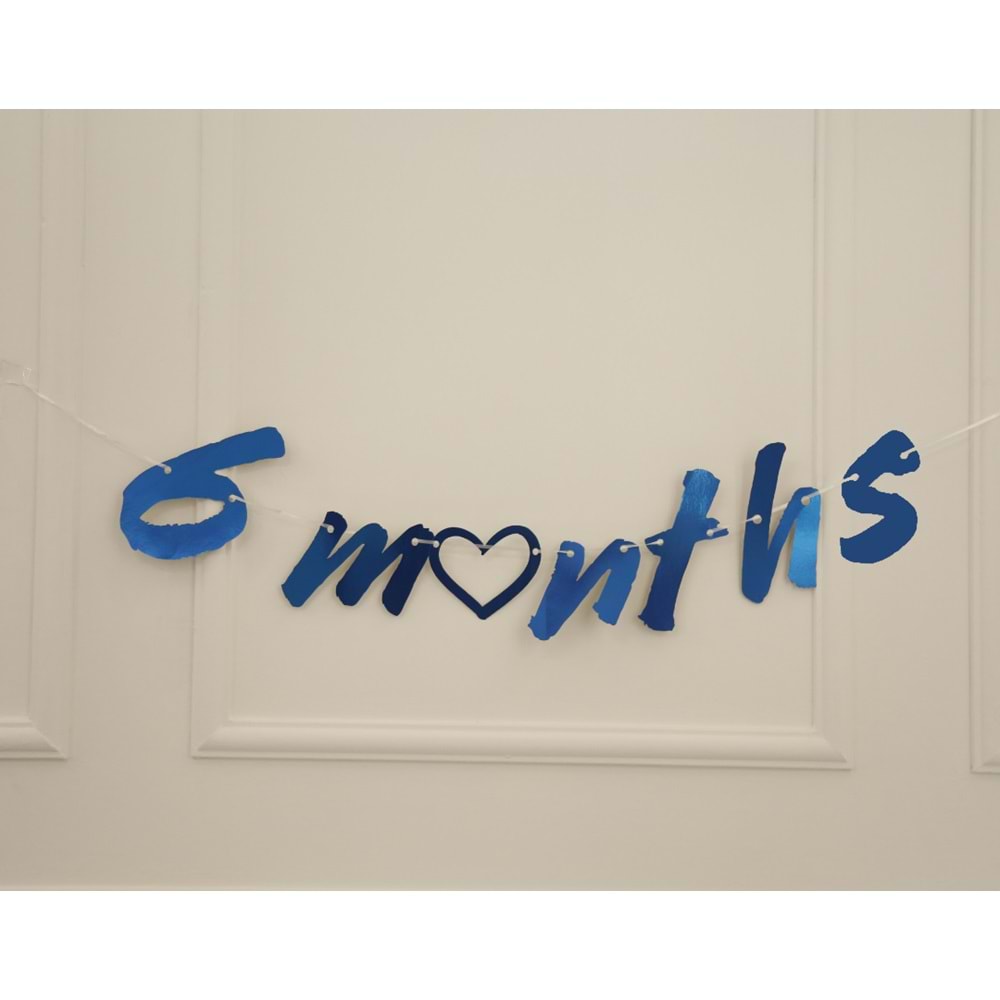 6 Months Mavi Renk Banner İpli Duvar Süsü Yarım Yaş Altı Ay Parti Süsü