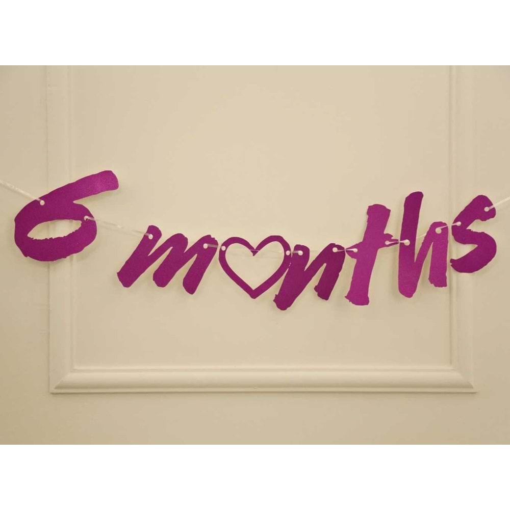 6 Months Simli Fuşya Renk Banner İpli Duvar Süsü Yarım Yaş Altı Ay Parti Süsü