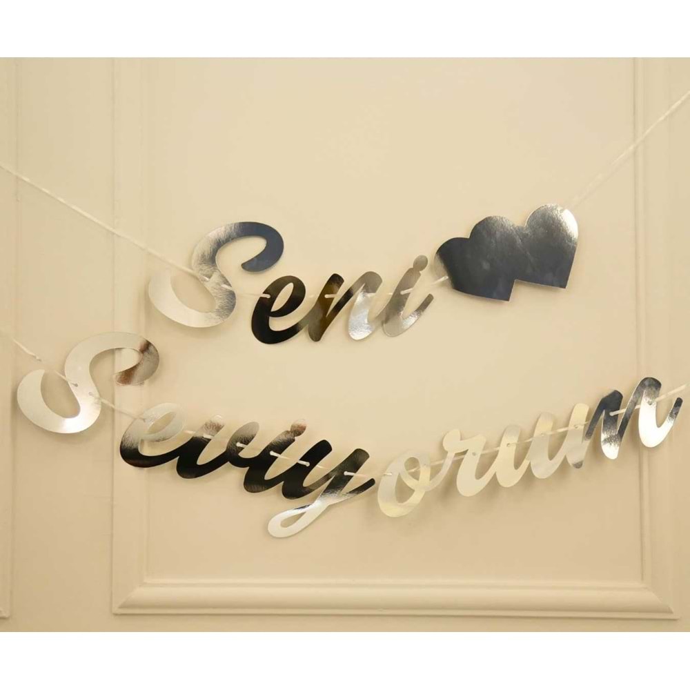 Gümüş Renkli Seni Seviyorum El Yazısı Banner Duvar Süsü