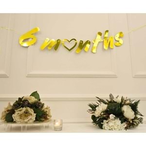 6 Months Gold Renk Banner İpli Duvar Süsü Yarım Yaş Altı Ay Parti Süsü