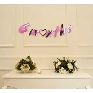 6 Months Pembe Renk Banner İpli Duvar Süsü Yarım Yaş Altı Ay Parti Süsü