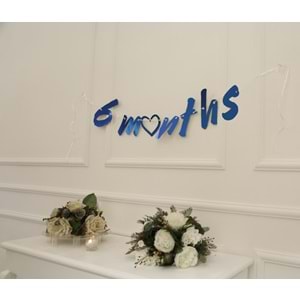 6 Months Mavi Renk Banner İpli Duvar Süsü Yarım Yaş Altı Ay Parti Süsü