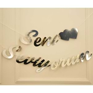 Gümüş Renkli Seni Seviyorum El Yazısı Banner Duvar Süsü