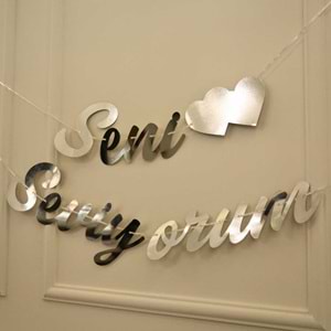 Gümüş Renkli Seni Seviyorum El Yazısı Banner Duvar Süsü